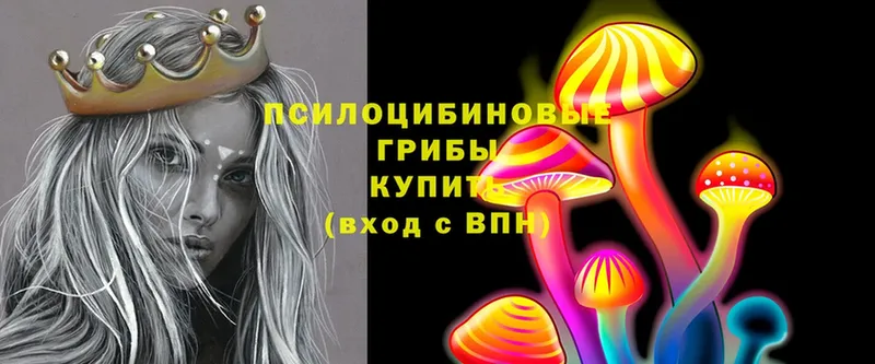 Псилоцибиновые грибы Psilocybe  Егорьевск 